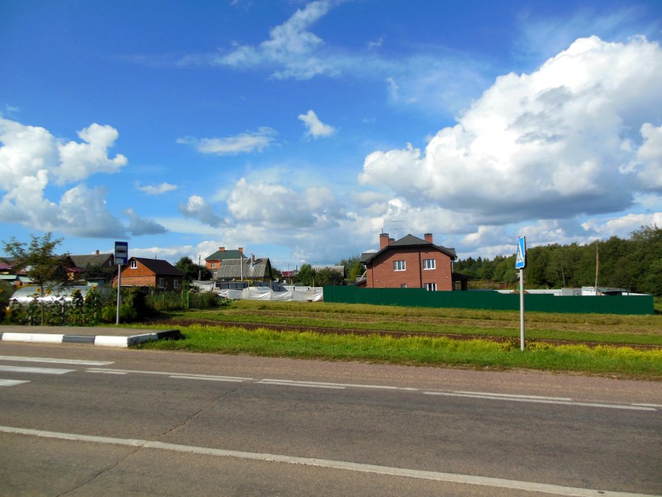 Dedyoshino 1
