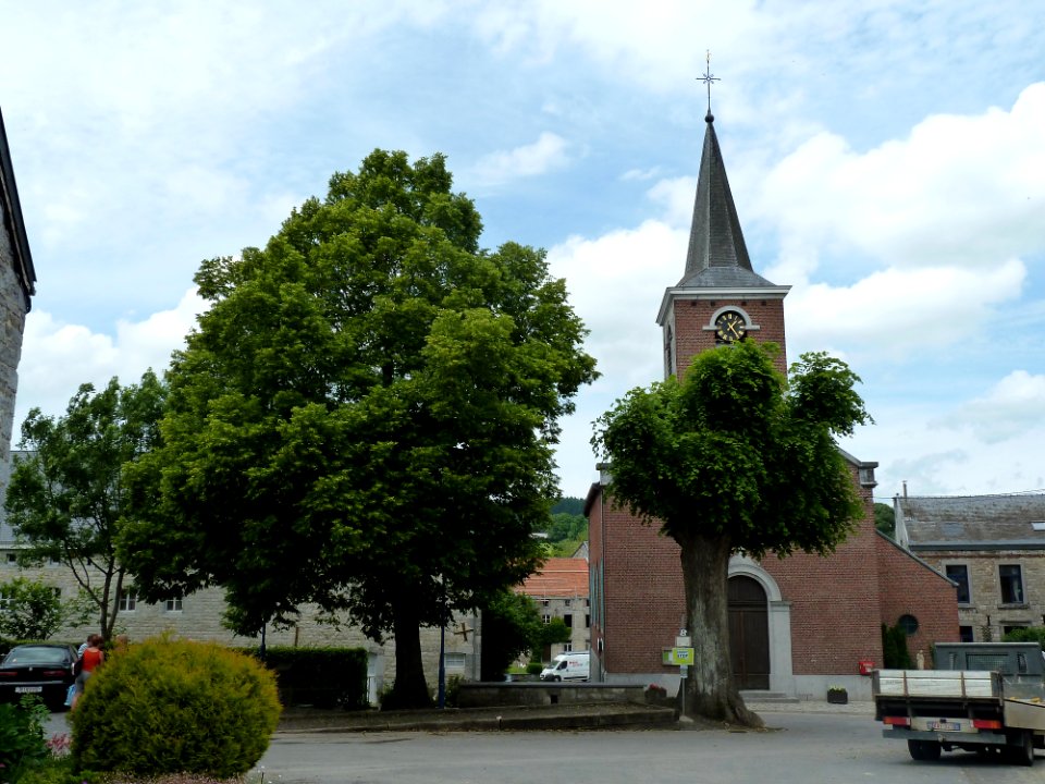 Deigné-tilleul devant l'église (4)