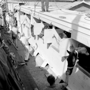 De paarden voor de koninklijke calèche bij aankomst in de haven van Willemstad, Bestanddeelnr 252-2730