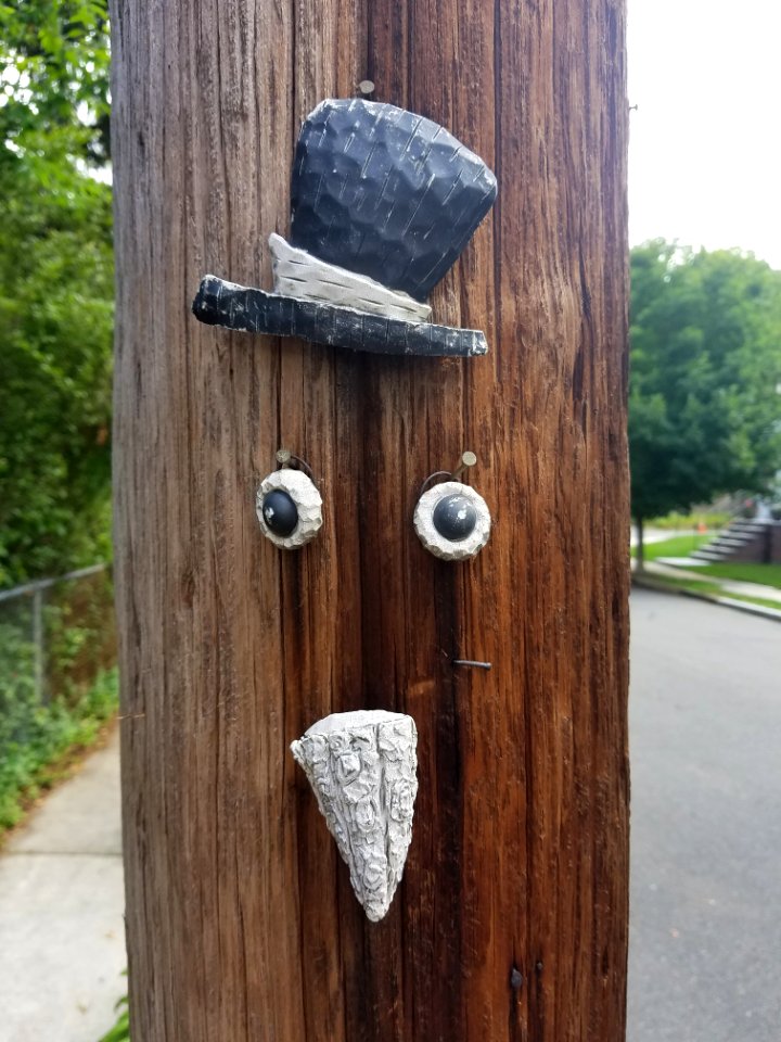 Decoration - Utility pole - Arlington, MA - 20200706 102739