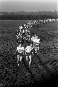 De ruim 200 deelnemers aan de volkscross onderweg, Bestanddeelnr 918-4103