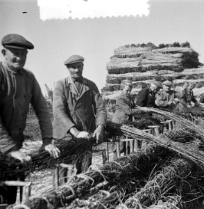 De Schelphoek op Schouwen. Film aanmaak zinkstukken, Bestanddeelnr 905-8269