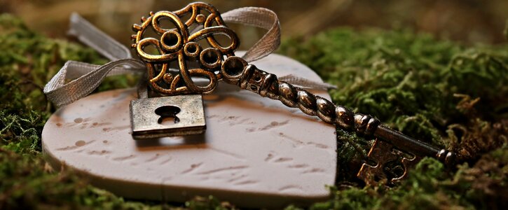 Castle key to the heart valentine's day photo