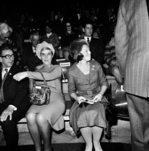 De prinses op de tribune, Bestanddeelnr 926-8293