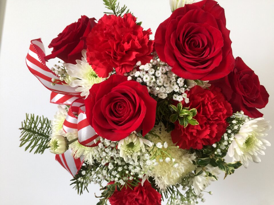 Floral petals romance