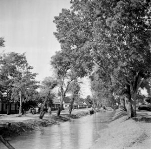 De plantage Mariënburg in het Commewijnegebied in Suriname, Bestanddeelnr 252-6505
