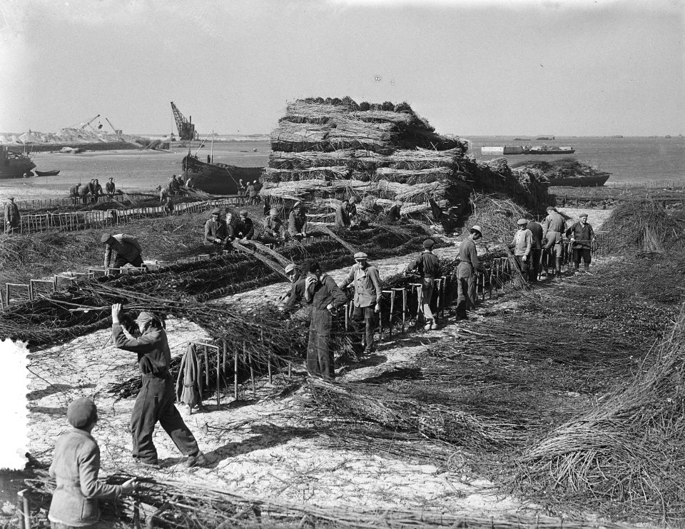 De Schelphoek op Schouwen, Bestanddeelnr 905-8250