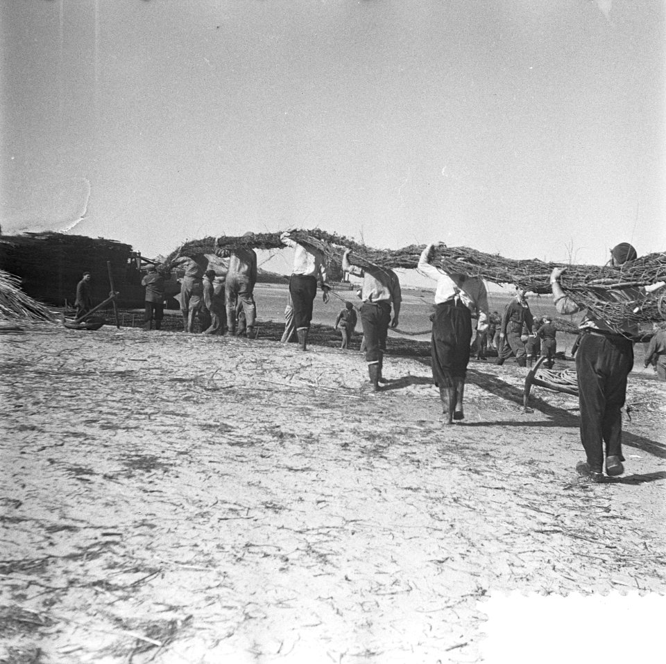 De Schelphoek op Schouwen. Film transport zinkstukken, Bestanddeelnr 934-5510