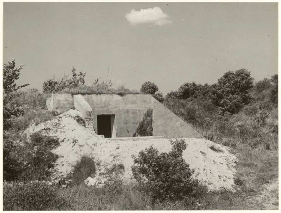De overblijfselen van een door de Duitse bezetting in de tweede wereldoorlog gebouwde bunker in de Kennemerduinen. NL-HlmNHA 54005586