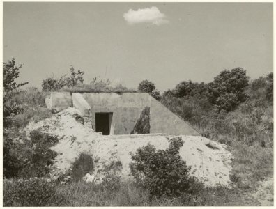 De overblijfselen van een door de Duitse bezetting in de tweede wereldoorlog gebouwde bunker in de Kennemerduinen. NL-HlmNHA 54005586