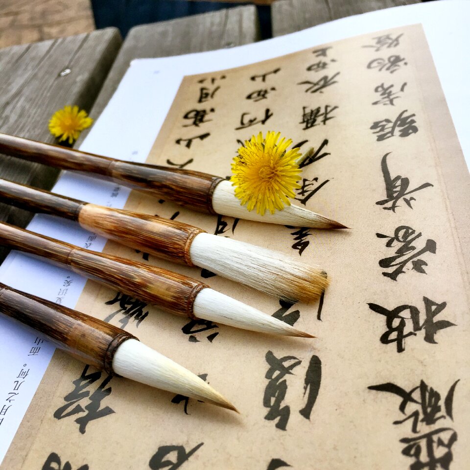 Sheep and cents writing brush set students to practice calligraphy