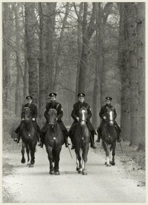 De ruiters van de bereden politie aan de Wagenweg in de Haarlemmerhout. NL-HlmNHA 54011439