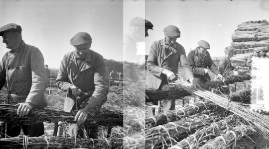 De Schelphoek op Schouwen. Film aanmaak zinkstukken twee negatieven, Bestanddeelnr 905-8268