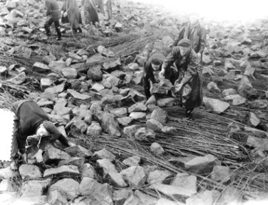 De Schelphoek op Schouwen. Droogvallen zinkreparaties, Bestanddeelnr 905-8265