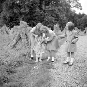 De prinsessen Beatrix, Irene, Margriet en Christina aan het wandelen in het park, Bestanddeelnr 255-7542