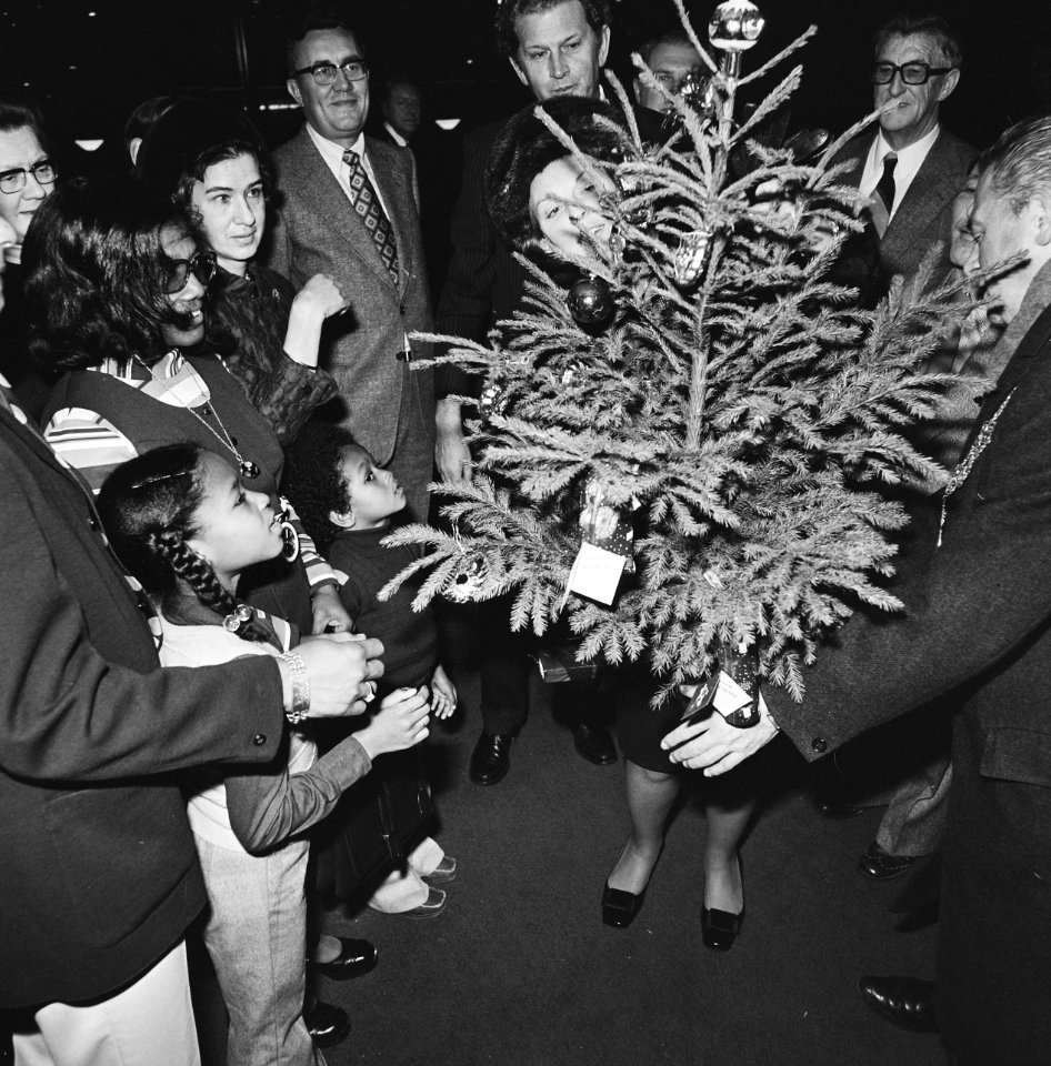 De prinses met kinderen en genodigden bij een kerstboom, Bestanddeelnr 926-8878