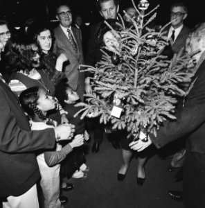De prinses met kinderen en genodigden bij een kerstboom, Bestanddeelnr 926-8878