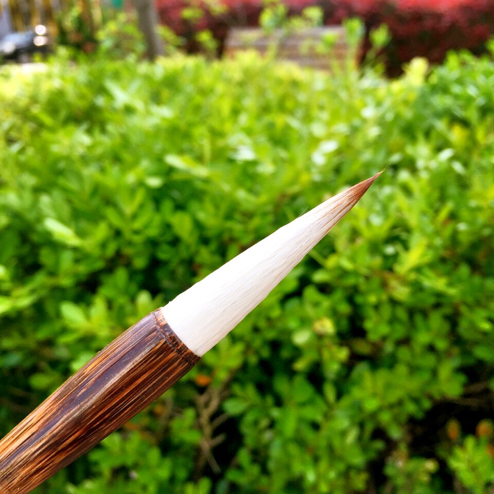 Sheep and cents writing brush set students to practice calligraphy