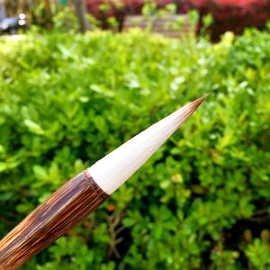 Sheep and cents writing brush set students to practice calligraphy