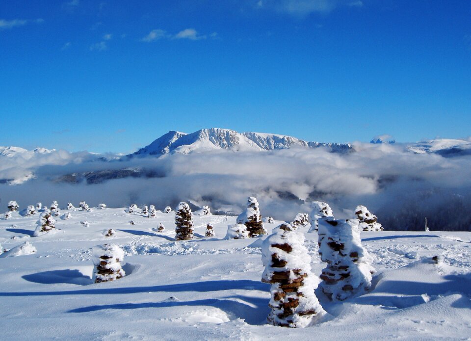 Snowy nature landscape