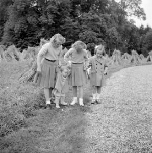 De prinsessen Beatrix, Irene, Margriet en Christina wandelen in het park van het, Bestanddeelnr 255-7536