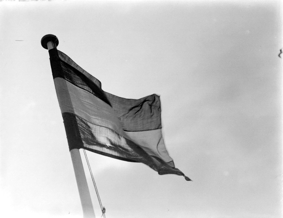 De Nederlandse vlag, Bestanddeelnr 252-1568