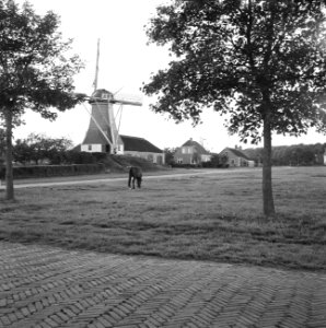 De molen van Rolde, korenmolen, bouwjaar 1873, Bestanddeelnr 164-0256