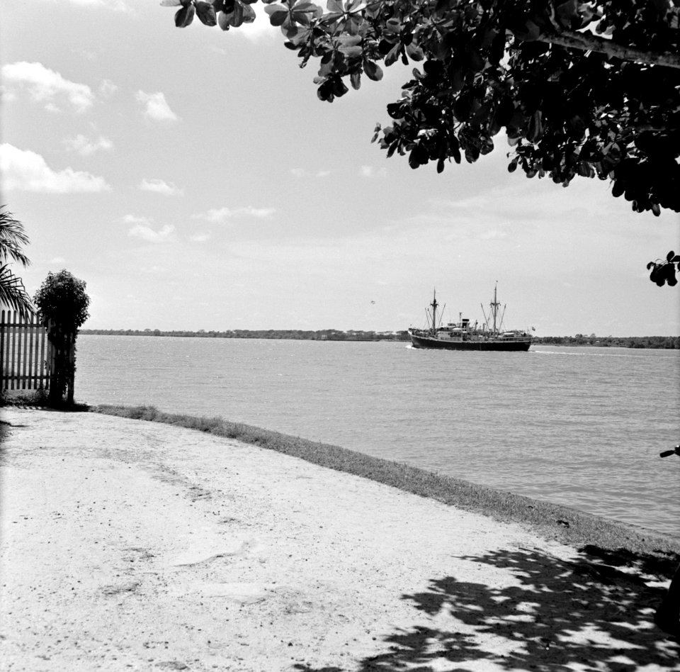 De ms Nestor op de Surinamerivier bij Paramaribo, Bestanddeelnr 252-2219