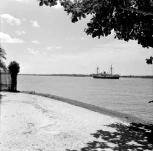 De ms Nestor op de Surinamerivier bij Paramaribo, Bestanddeelnr 252-2219