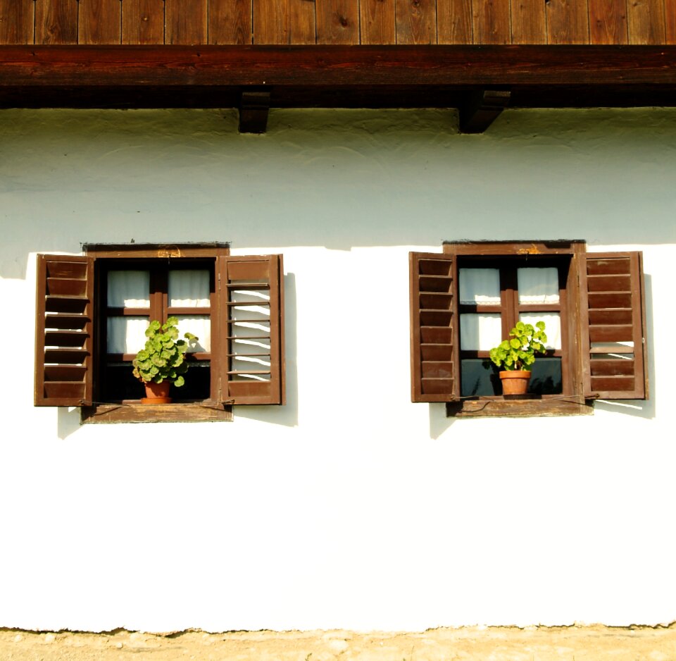House home flower