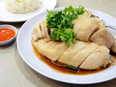 Asian chicken cuisine photo