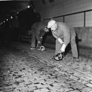 De Maastunnel (opdracht Vrije Volk Rotterdam), Bestanddeelnr 914-1633