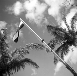 De Nederlandse vlag op Fort Oranje op Sint-Eustatius, Bestanddeelnr 252-8309