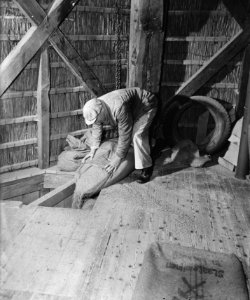 De molenaar ledigt de zakken graan, Bestanddeelnr 901-4175
