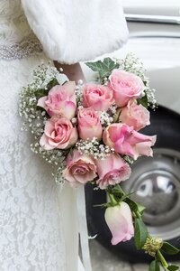 Wedding rosa roses