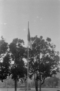 De Nederlandse vlag, Bestanddeelnr 447-4-4
