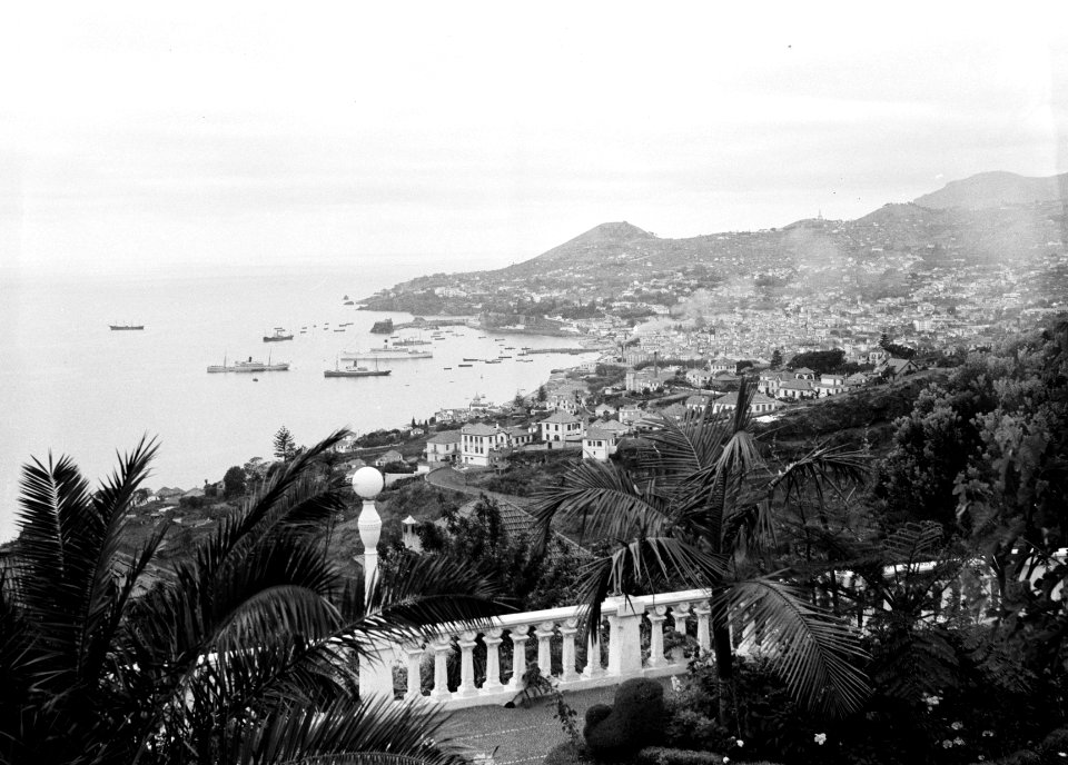 De stad Funchal op het eiland Madeira, Bestanddeelnr 252-1260