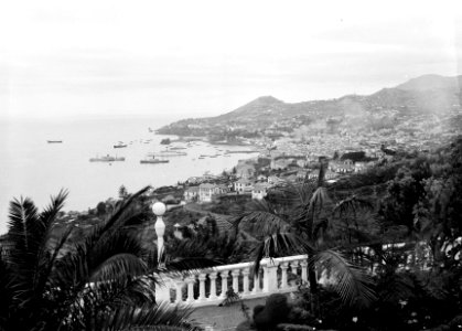 De stad Funchal op het eiland Madeira, Bestanddeelnr 252-1260 photo