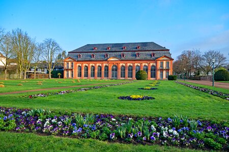 Germany spring flowers