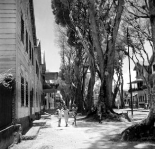De Wagenwegstraat in Paramaribo, Bestanddeelnr 252-6135