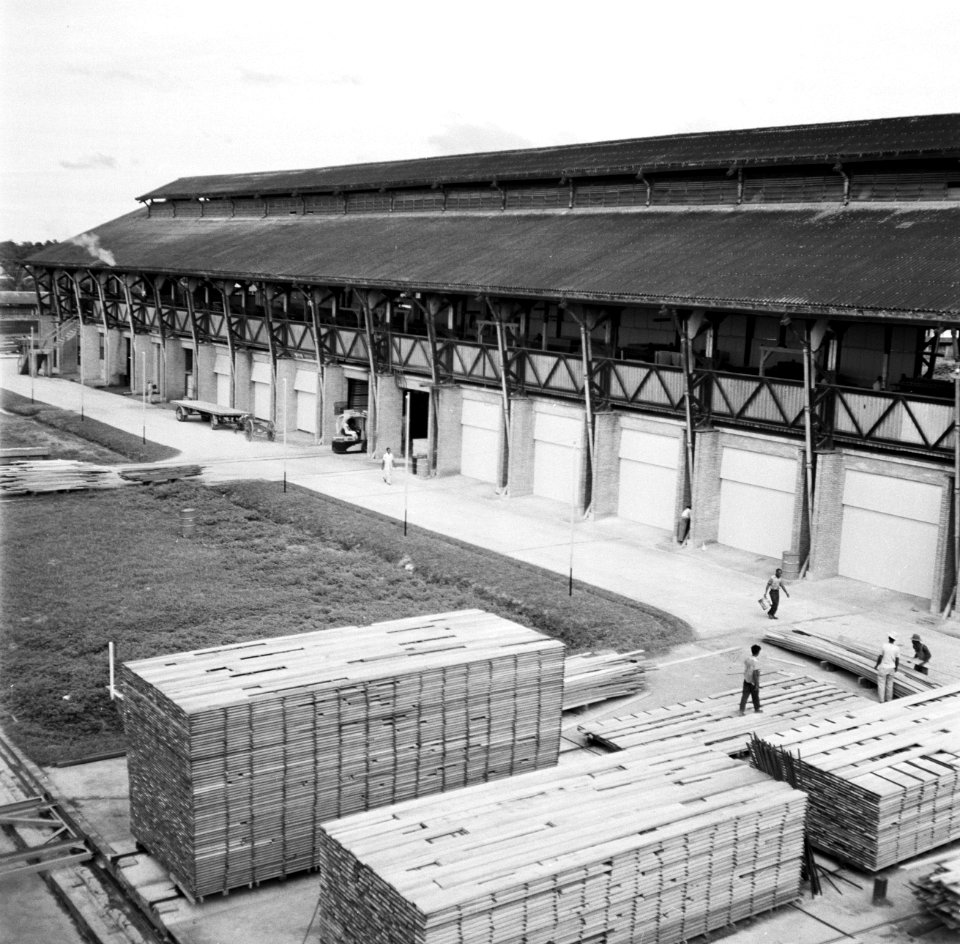De zagerij van de Bruynzeel Suriname Houtmaatschappij, Bestanddeelnr 252-5293