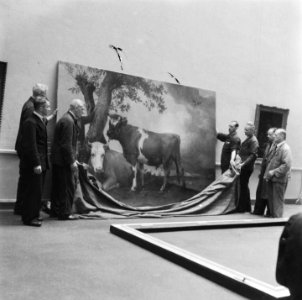 De Stier van Potter wordt geplaatst, Bestanddeelnr 900-5338