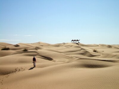 Dunes caravan dromedary photo