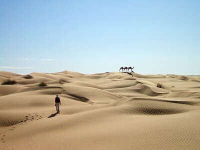 Dunes caravan dromedary