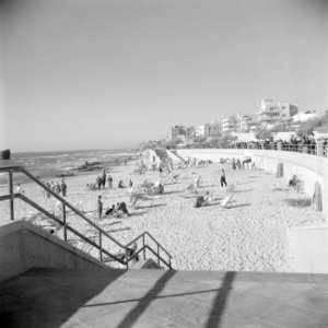 De strandboulevard van Tel Aviv in 1949 op de sabbathmorgen, Bestanddeelnr 255-1362