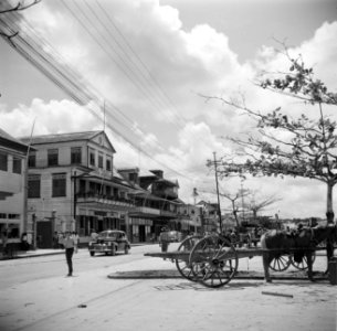De Waterkant in Paramaribo, Bestanddeelnr 252-6184