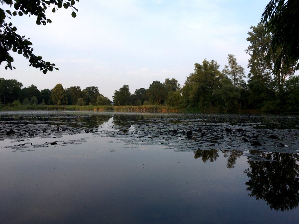De Ward, Bemmel