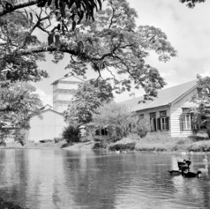 De suikerfabriek Mariënburg aan de Commewijnerivier in Suriname, Bestanddeelnr 252-2624