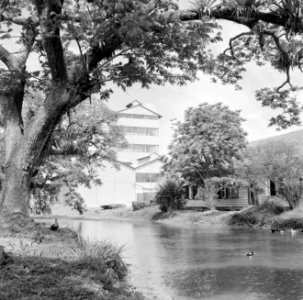 De suikerfabriek Mariënburg aan de Commewijnerivier in Suriname, Bestanddeelnr 252-2626