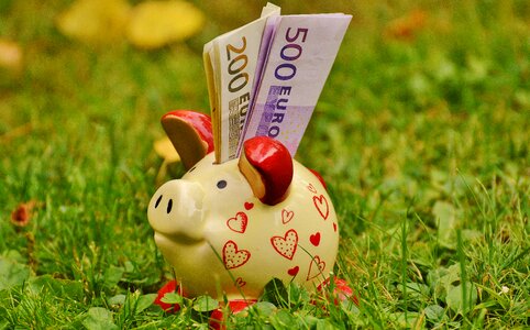 500 euro 200 euro piglet